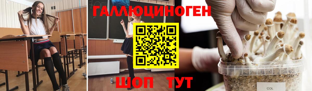 Псилоцибиновые грибы Psilocybe  наркота  Мыски  Вход с VPN 