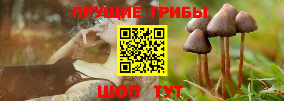Галлюциногенные грибы Cubensis Мыски